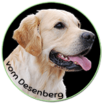 Golden Retriever vom Desenberg